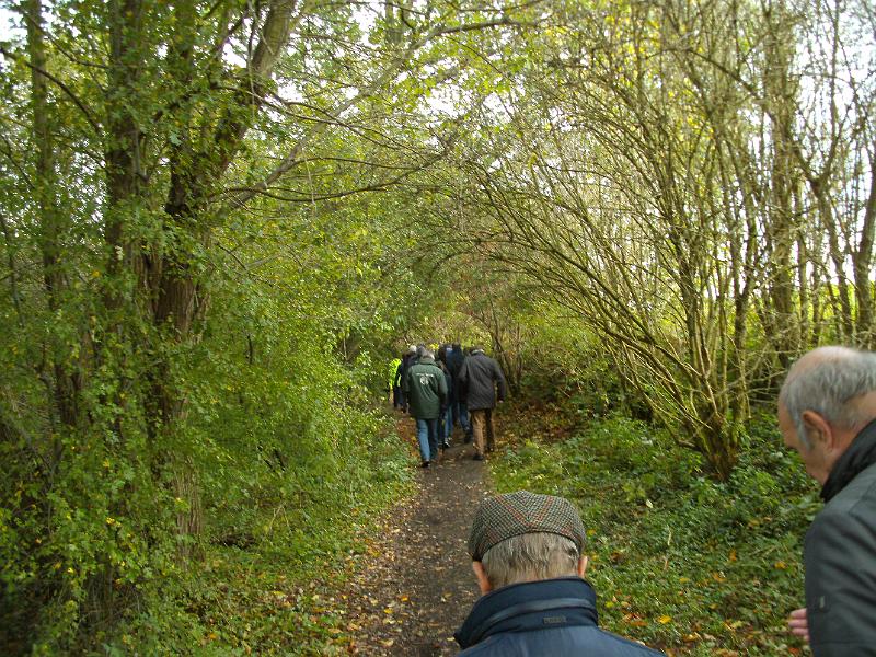 wandeling 22-10-2017_(36).JPG